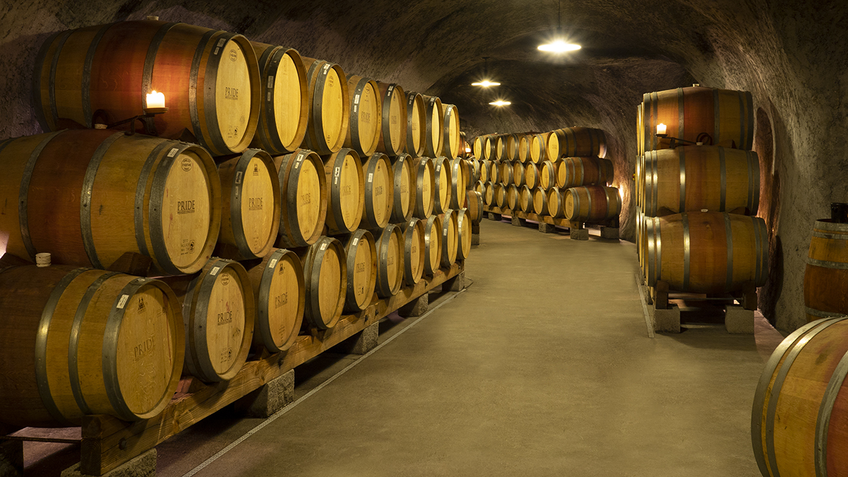 Catagory Winery & Vineyards. OLYMPUS DIGITAL CAMERA