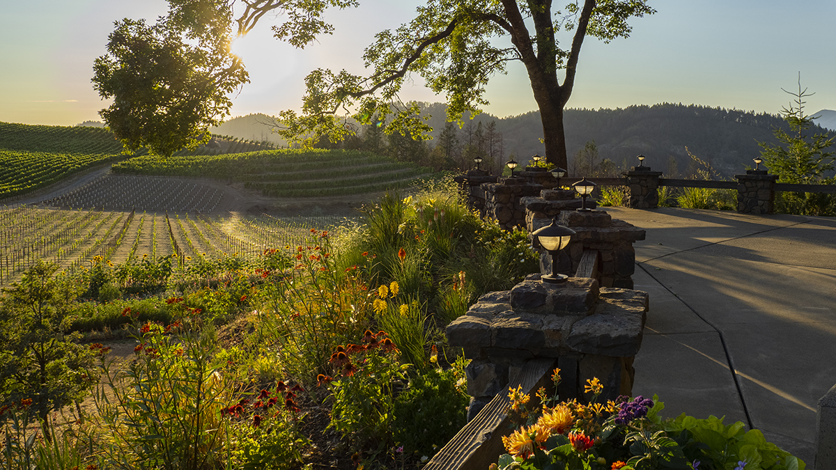 Catagory Winery and Vineyards. 255_7.9.21_Summit_Terrace_01