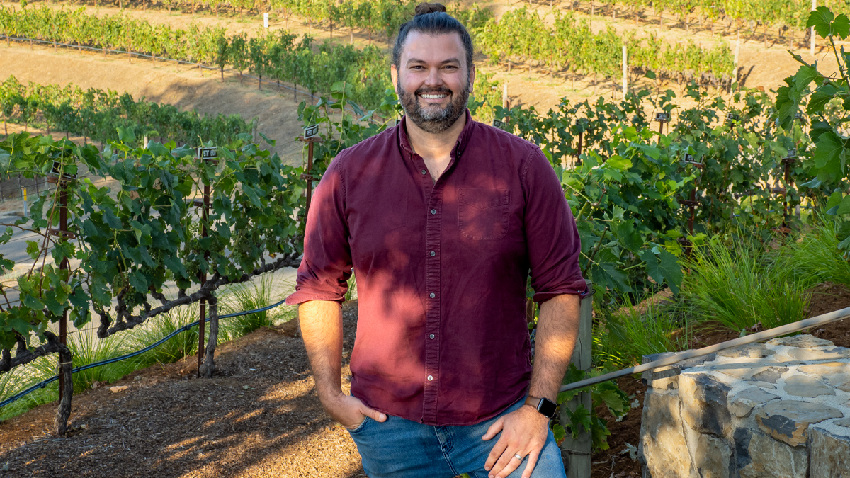 Catagory Harvest 2022. Winemaker Matt Ward