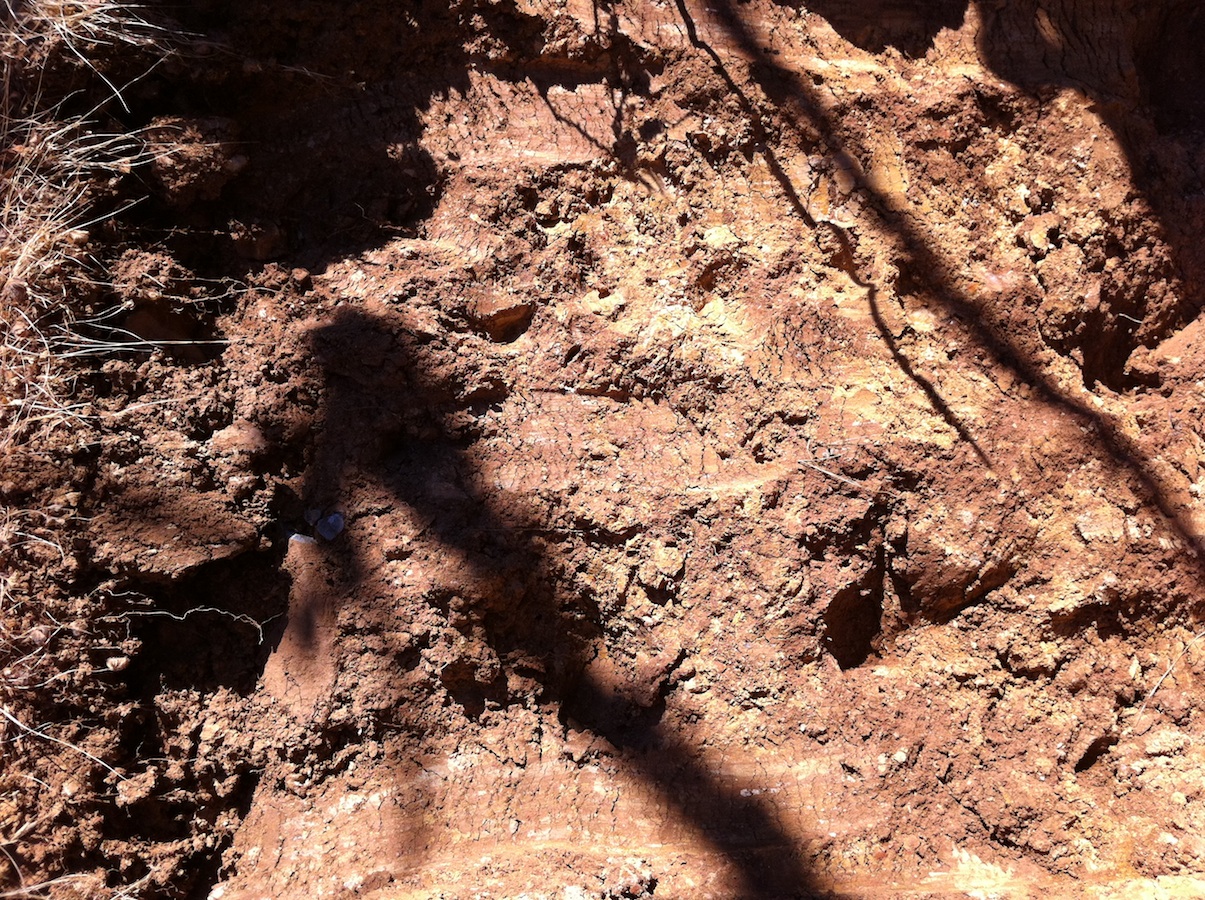 Red Clay