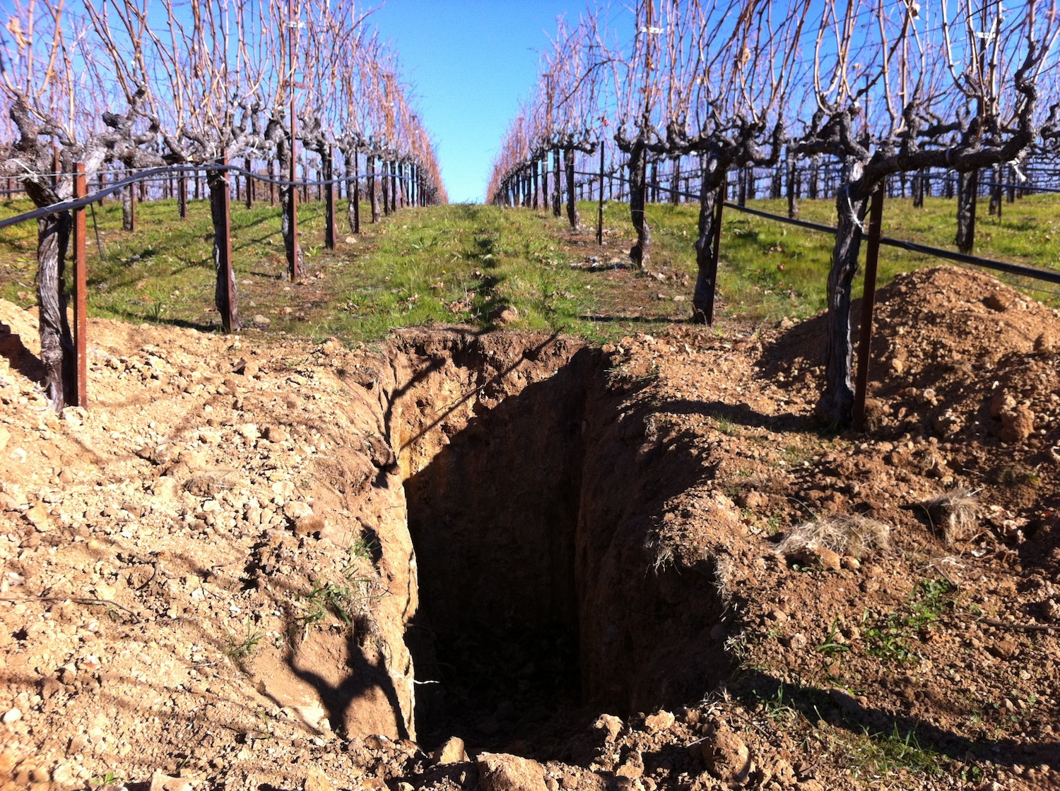 Soil pit